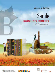 Sarule 2013